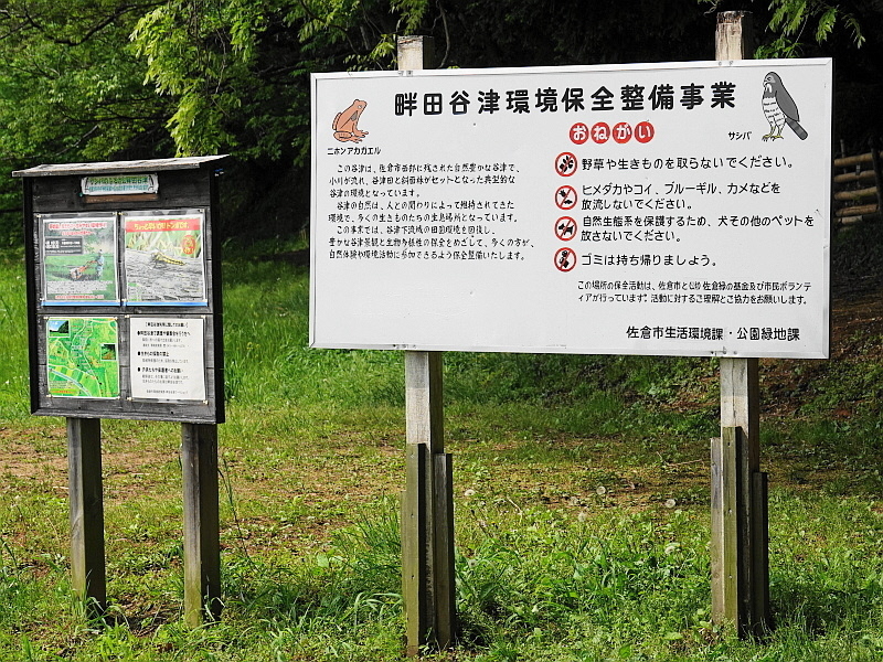 畔田谷津環境保全整備事業について書かれた看板を写した写真