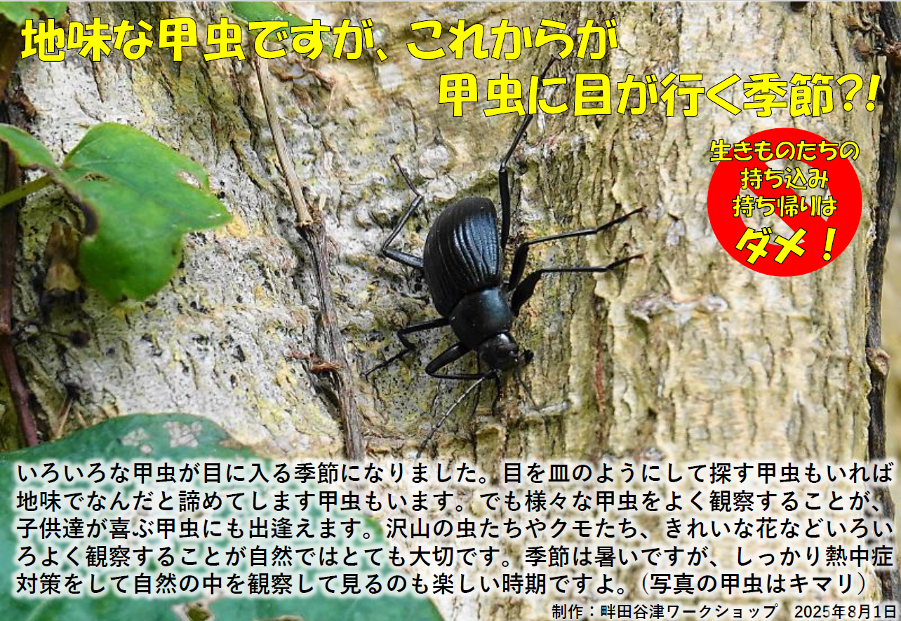 畔歩きは、今しばらくの辛抱を