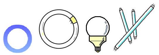 青い丸印と環形・球形・直管形の蛍光管のイラスト