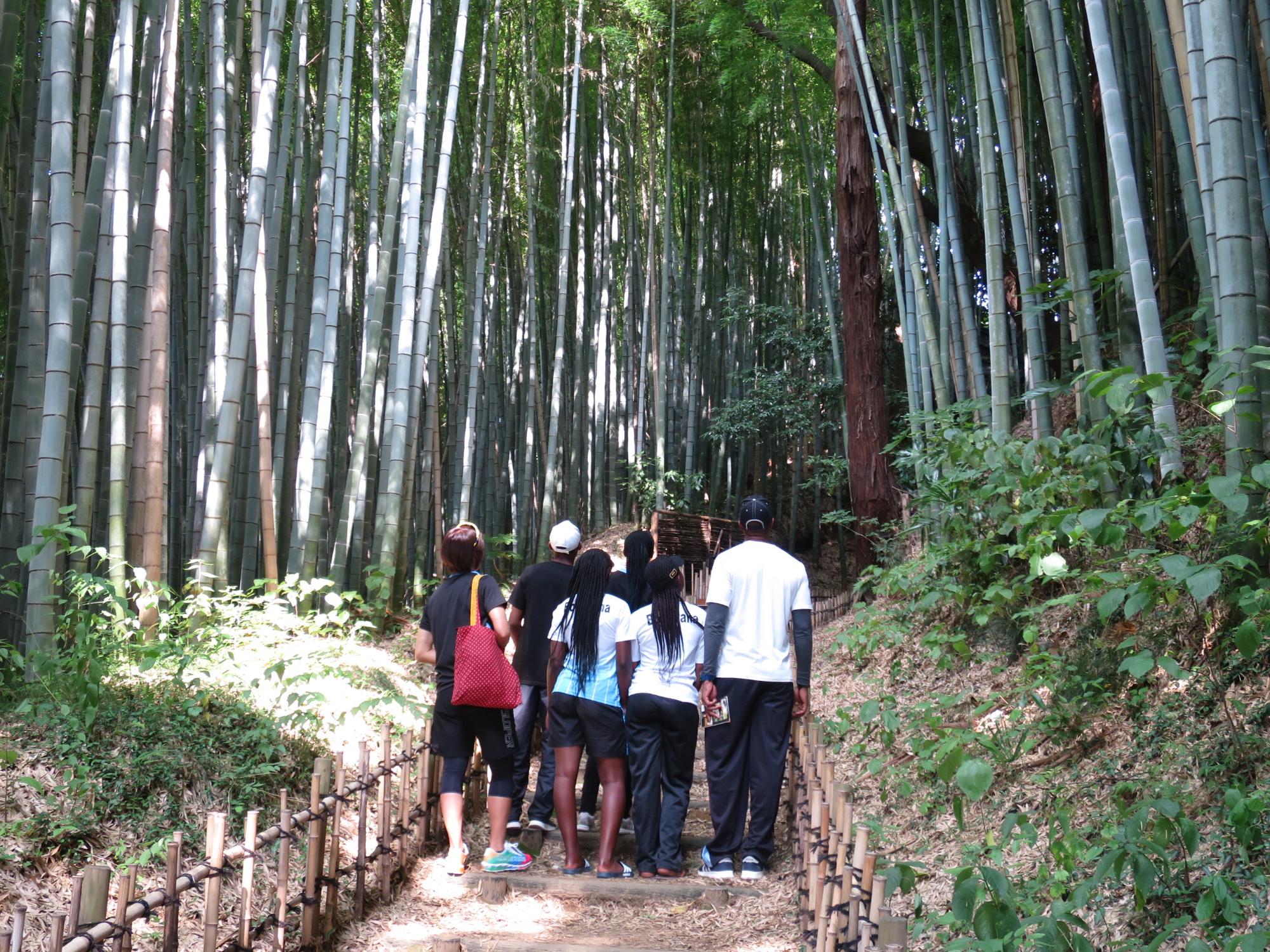 両脇に植えられた沢山の竹が真っ直ぐに天まで伸び竹林のひよどり坂に立ち止まって、上を眺めているボツワナの選手たちを後方より写した写真