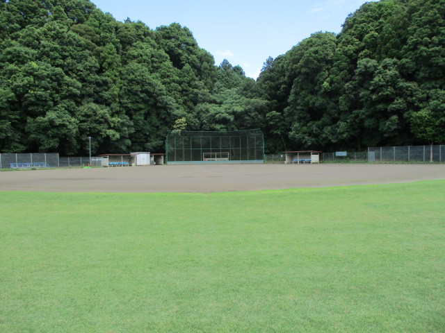 後方には木々が生い茂り、芝生の奥にグラウンドが見える広々とした野球場の写真