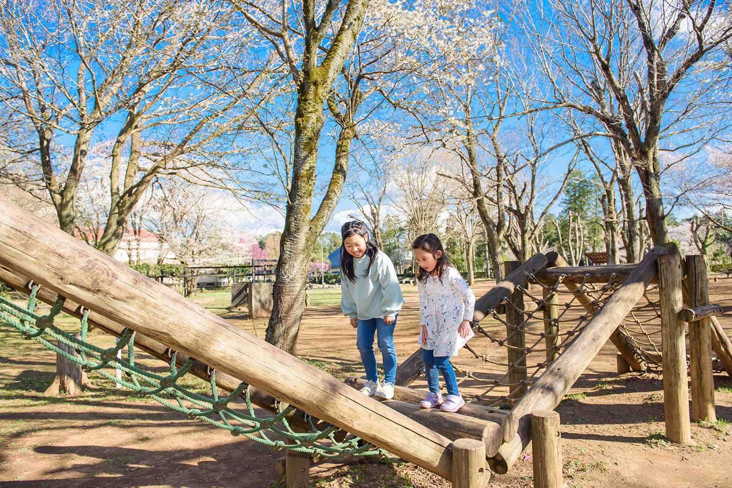 木で造られたアスレチックで2人の女の子が遊んでいる様子が写っている佐倉草ぶえの丘の写真