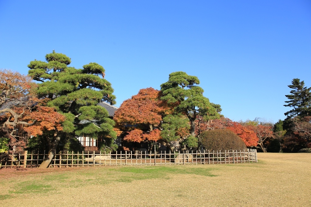 芝生の広場の奥に見える柵で囲まれた場所に、紅葉で色づいた木々とその奥に見える旧堀田邸の写真