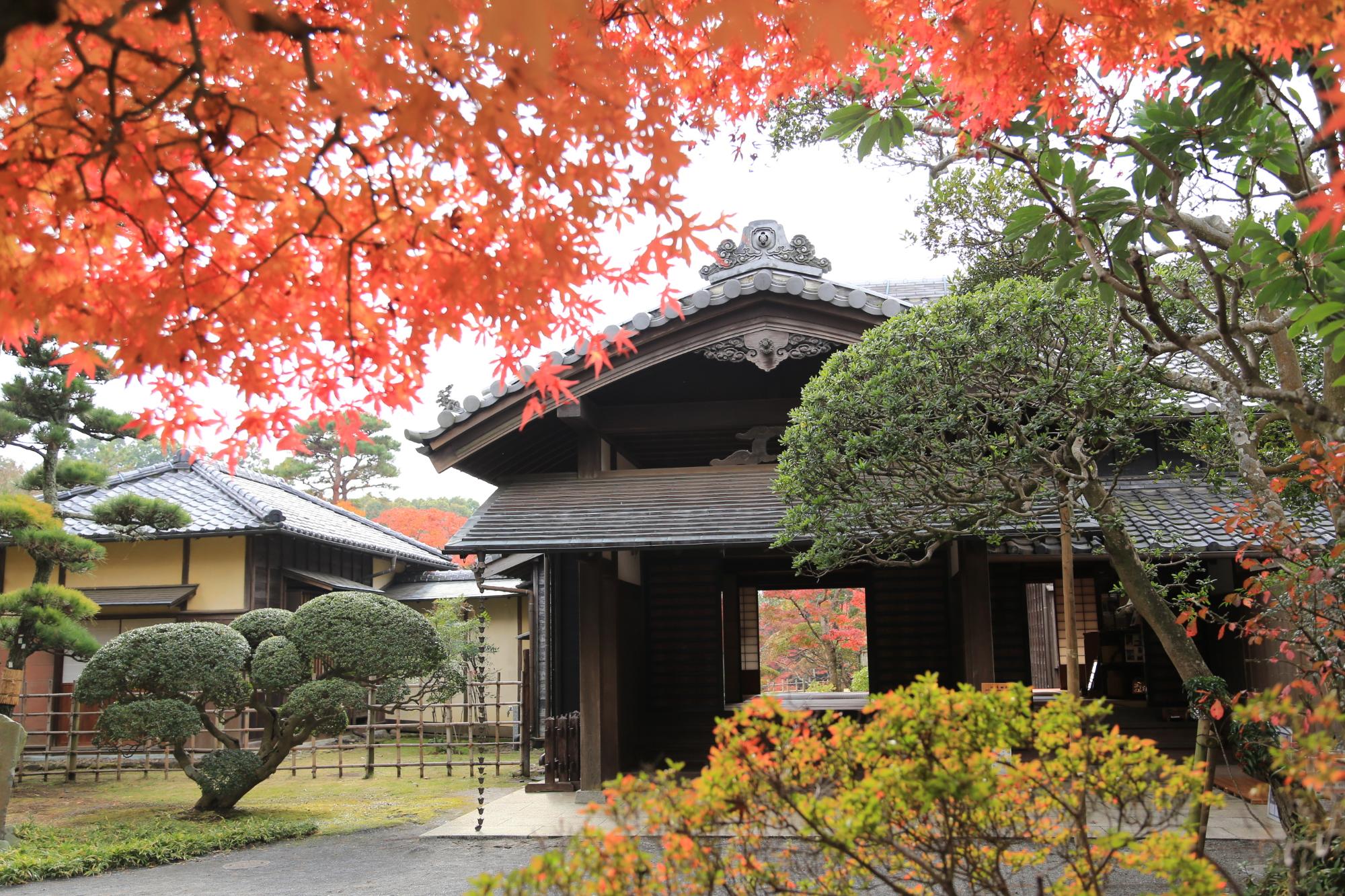 旧堀田邸の建物の前の木々が紅葉で赤く色づいている様子の写真