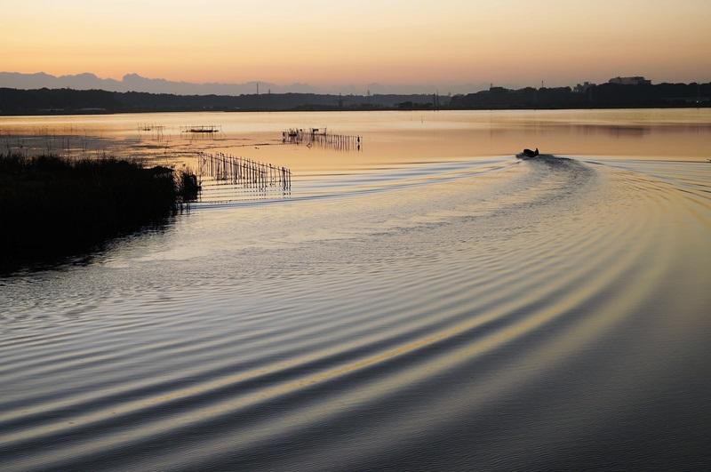 夜明けの印旛沼