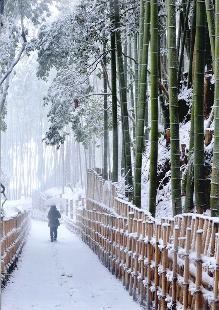 雪のひよどり坂