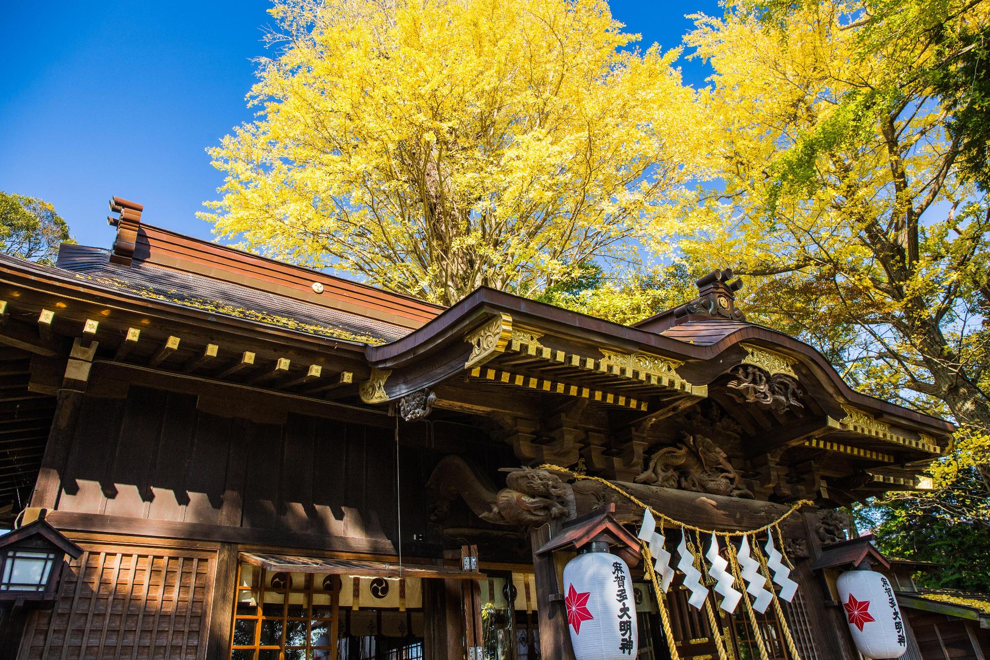 麻賀多神社の秋