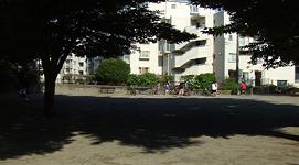 マンションに隣接している園内の、大木が大きな影を作っている広場で遊んでいる子供たちの写真
