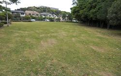 住宅地に隣接し、樹木に囲まれ芝生広場が広がっている子の神公園の写真