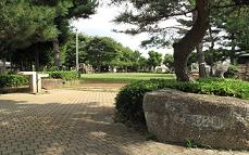 周囲に樹木が立ち並び、「ときわ公園」と彫られた園名石、生垣や松の木を通り過ぎると芝生広場が広がっている芋窪ときわ公園の写真