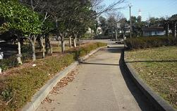 生垣や木々に挟まれた、奥まで続いている遊歩道が設置されている山王公園の写真
