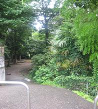 樹木に覆われた園内の入り口を写した寺前公園の写真