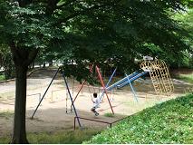 大きな木が日陰になっているブランコで遊んでいる子供、すべり台などの遊具が設置されている大林公園の写真
