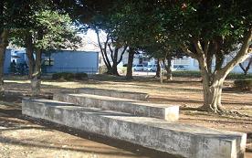 低い樹木が点在している中央に、3つの横長の石で造られたベンチが位置をずらして園内に設置されているの写真