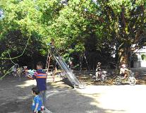 樹木が生い茂っている園内のすべり台や自転車で遊んでいる子供たちの写真