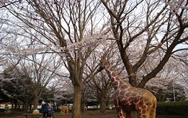 園内の桜の木の下にキリンなどの公園アニマルが点在して設置されている写真