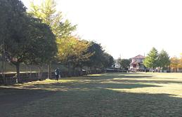 公園の周囲を樹木に囲まれ、広大な広場が広がっている干場公園の写真