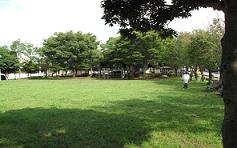 周囲を樹木で囲まれ、芝生広場が広がっている大堀あかね公園の写真