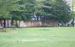 大きな樹木に囲まれた園内の左側にベンチが設置されている内郷街区公園の写真