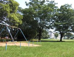 大きな木々が沢山生えている緑豊かな園内に、ブランコが設置されている新堀公園の写真