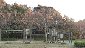 木製の遊具が設置されている白銀公園の写真