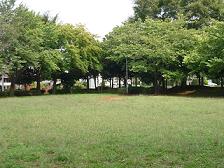 周囲を木々に囲まれた園内に広がる芝生広場の写真