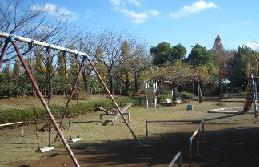 園内に設置されたブランコやすべり台などの遊具が設置されている大崎台公園の写真