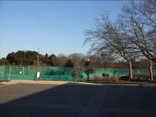 緑色のフェンスの手前に木々が点在している直弥公園の写真