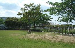 芝生が広がる織戸公園の中や外側に木々が植えられている写真