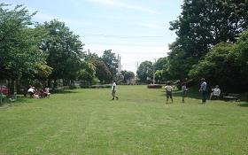 樹木が生えて緑豊かな園内の芝生広場で遊んでいる人達の写真