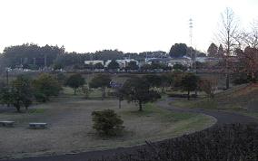 広大な敷地の園内に沢山の樹木が点在している白銀公園の写真
