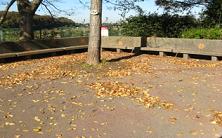 木の下に沢山の枯葉が落ち、周囲にL字型のベンチが設置されている八幡台3号公園の写真