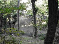 樹木が点在して生えて影ができている房向台西公園の写真