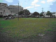 園外に大きな建物があり、園内の広場に設置された小さな丘で子供たちが遊んでいる町田南公園の写真