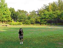 沢山の大きな木々に囲まれた園内の芝生広場に女の子が立っている写真