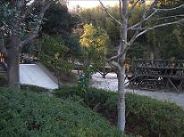 散策路の通り沿いに生垣や木々が生えている緑豊かな藤治台東公園の写真