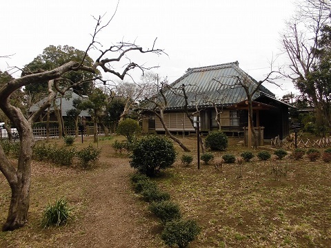 奥に武家屋敷があり、手前に手入れされた生垣や樹木が植えられた広い庭のある侍の杜の写真