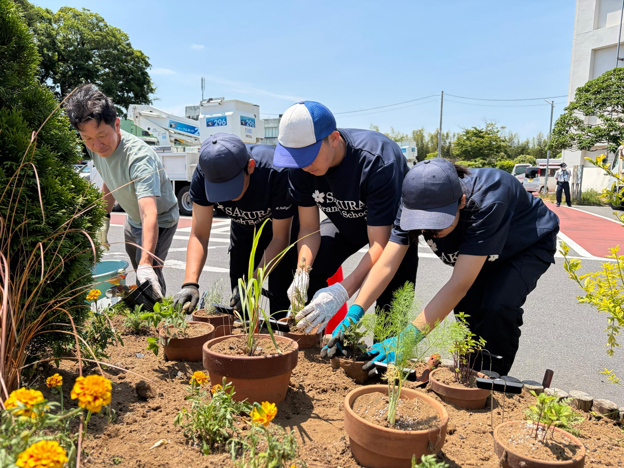 植え替えスタート！皆で協力して楽しく作業を進めていきます。