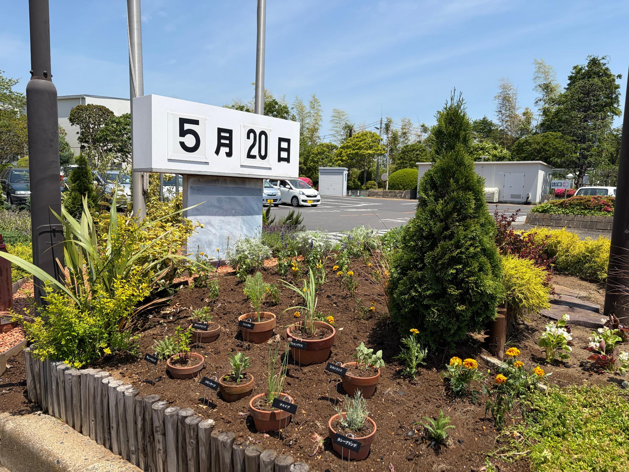 ついに完成