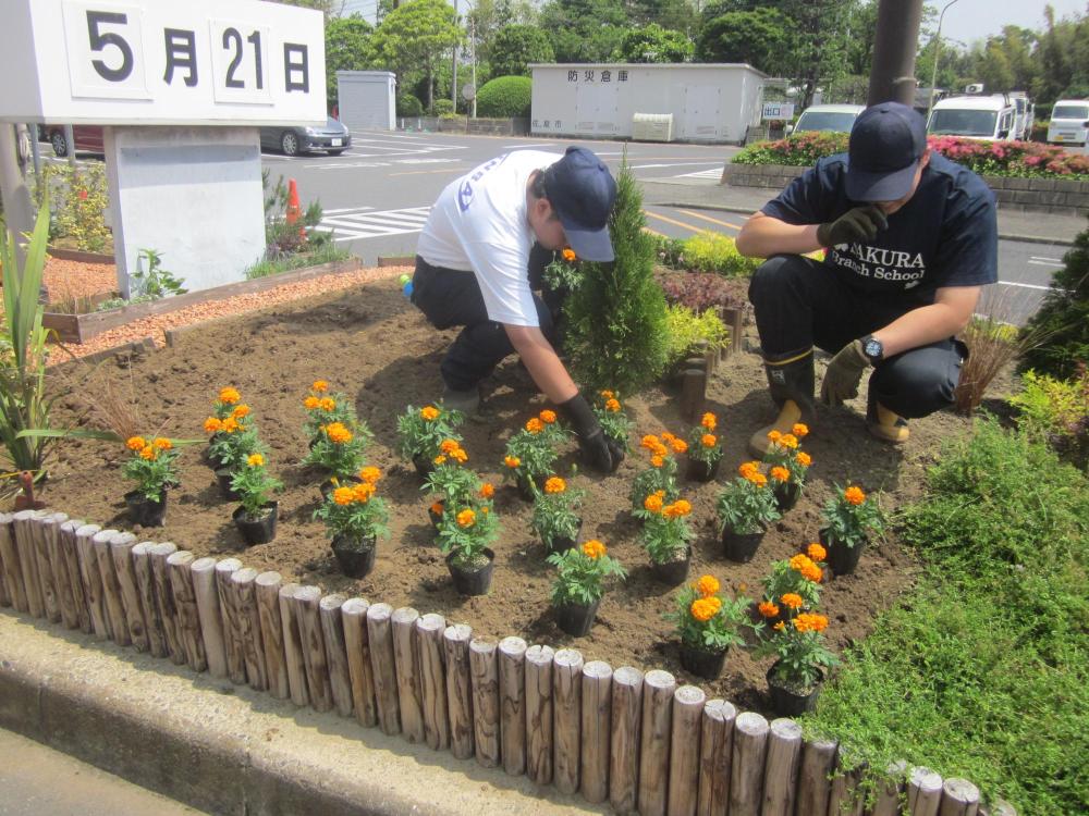 仮置きの写真