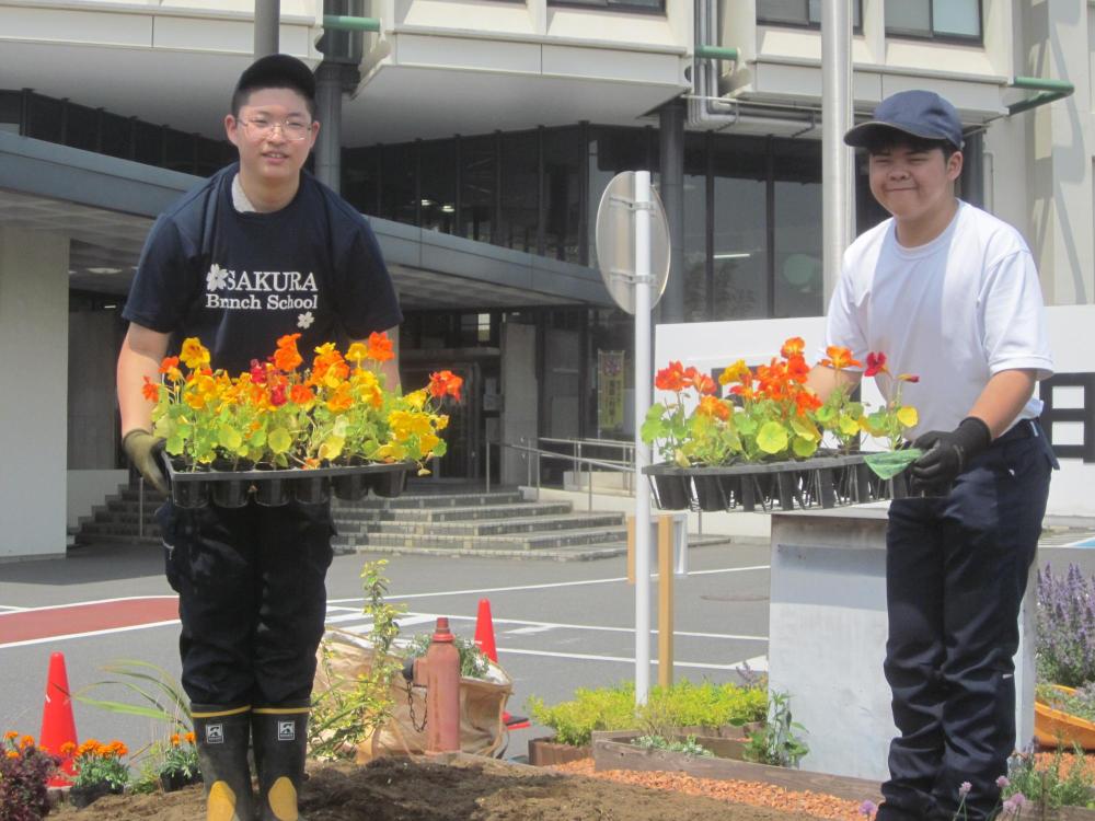花の写真