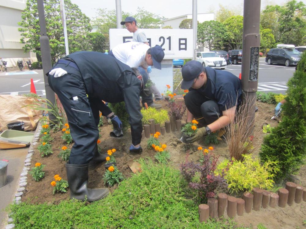 植え付け作業