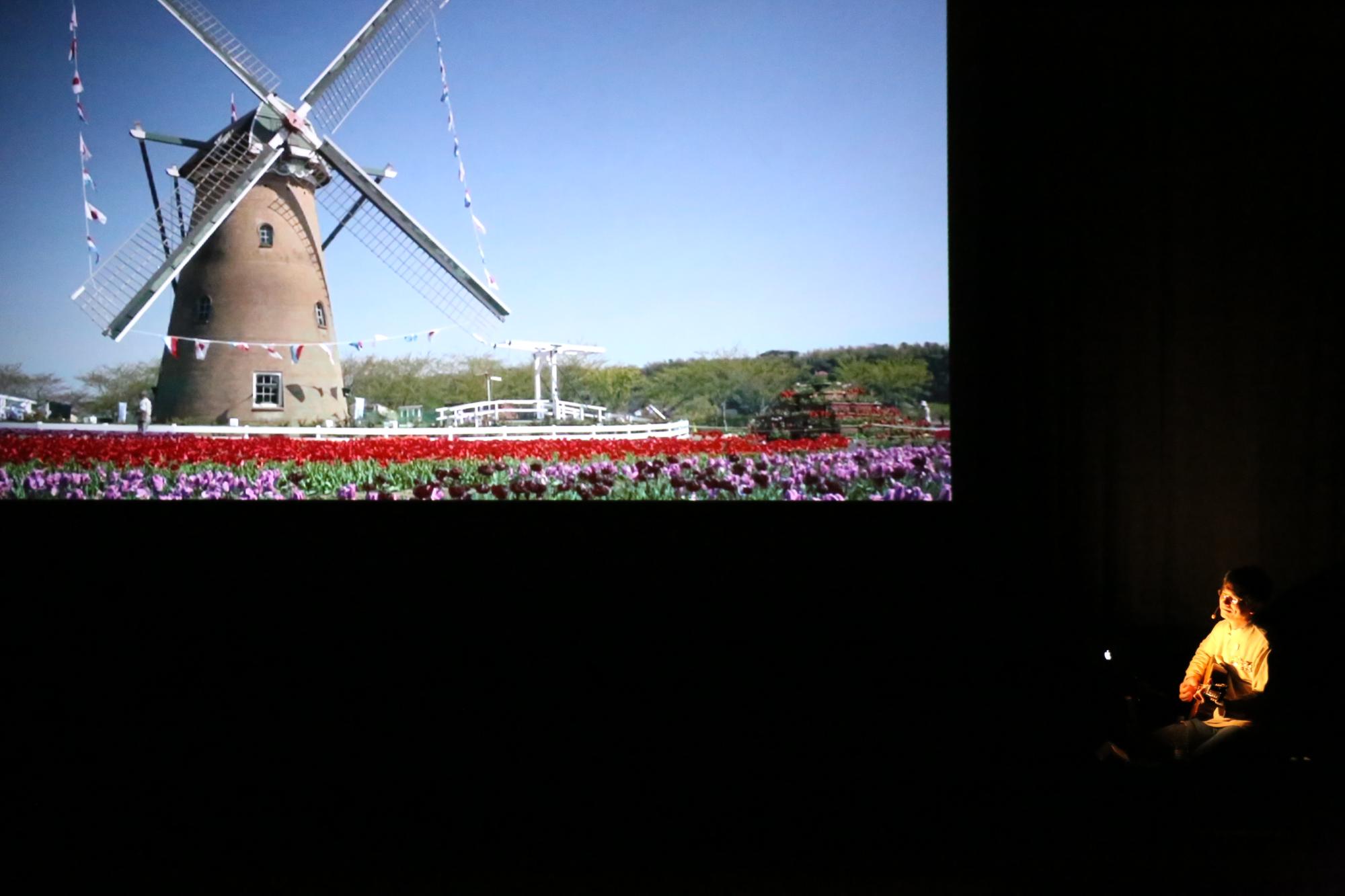 プロジェクトスクリーンに映るチューリップと大きな風車の映像と、ライトアップされている男性が楽器を演奏している写真