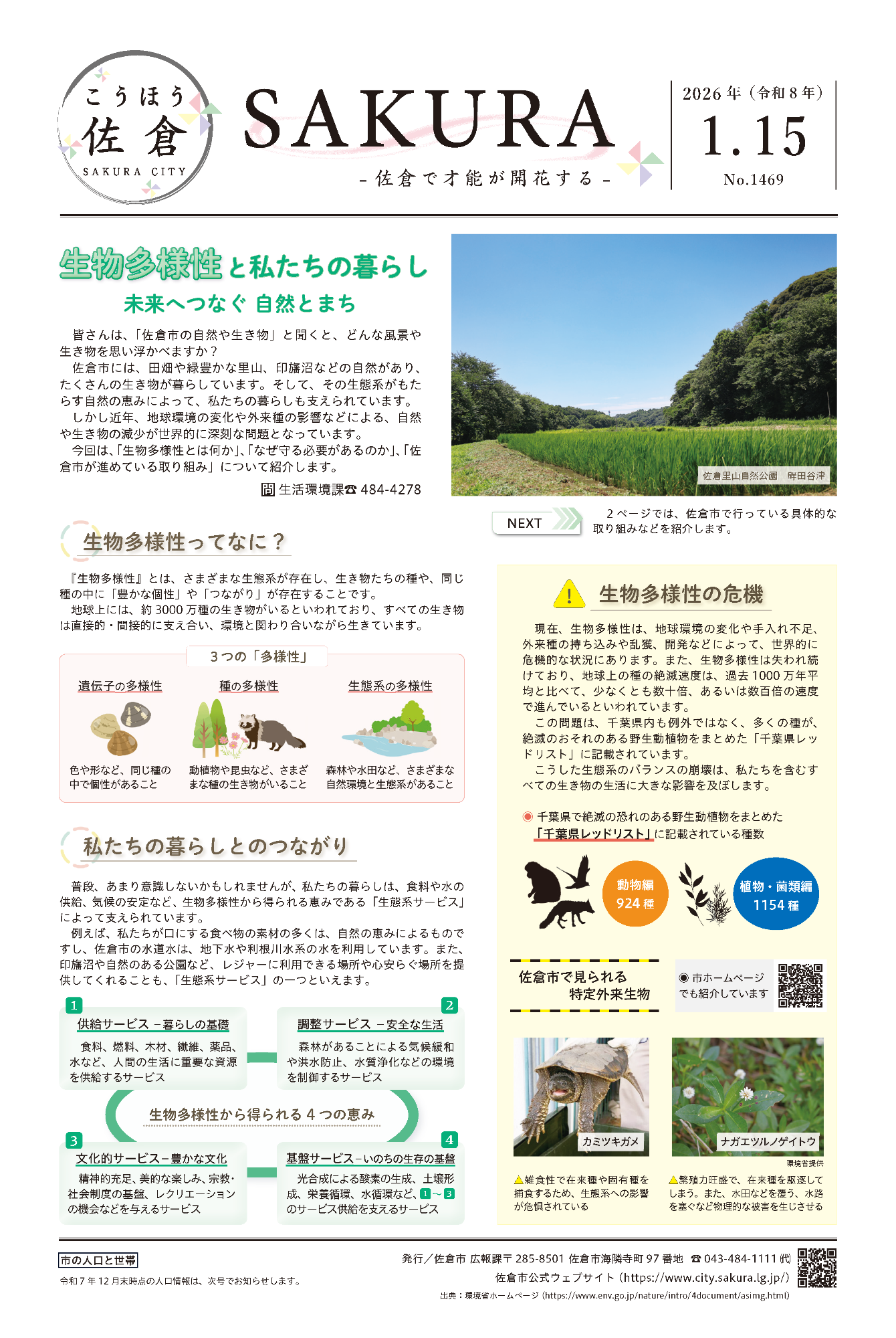 こうほう佐倉1月15日号 表紙