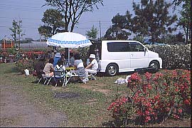 印旛沼サンセットヒルズでパラソルの下で椅子に座っている来場者の写真