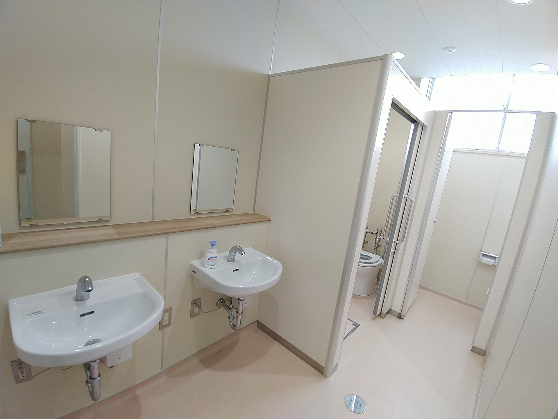 洗面台が2つあり、その上に鏡が設置され、奥に様式トイレがある女子トイレを入り口から写した写真