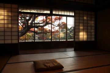 和室の窓から庭園の紅葉が見えている写真