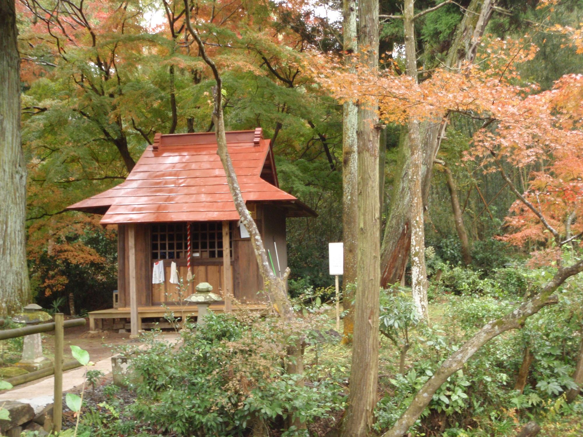 朱色の屋根の小さな祠が森の中に建っている写真