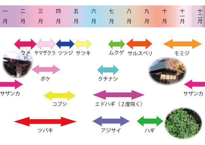 佐倉武家屋敷の花暦