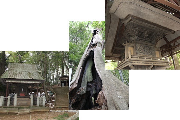 右：見事な彫刻が施されている社殿、中：大きな樹木を下から写した写真、左：森の中に建つ2つの神社を写した写真